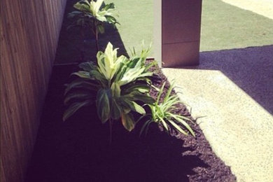 Design ideas for a modern front yard garden in Sunshine Coast with decking.
