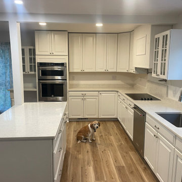Renovations and Apartment Garage Build