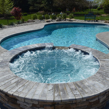 Freeform Salt Water Pool with Raised Spa