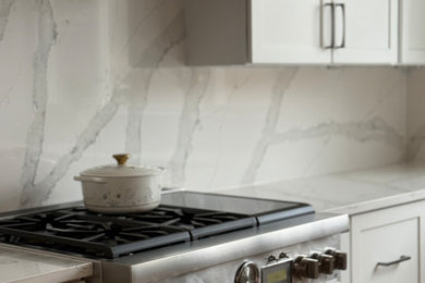 Kitchen - modern kitchen idea in DC Metro