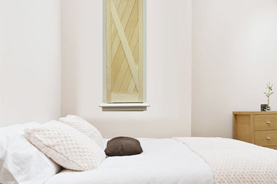 Dublin Barn Door Shutter