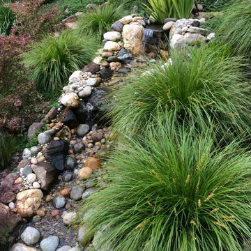 Award Winning Orinda Backyard