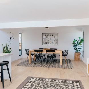 niguel west mid-century modern