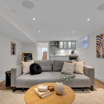 Lower Level Leisure