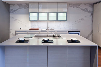 Design ideas for a contemporary kitchen in Dallas.