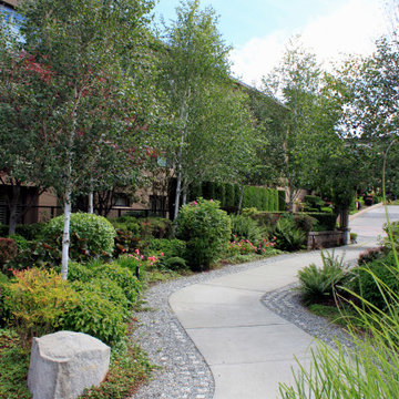 Settler's Landing serpentine walkway