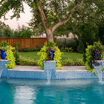 Colleyville Clean, Tailored Gem of a Pool