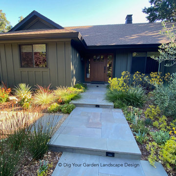 Modern Farmhouse Landscape Renovation, Novato, CA