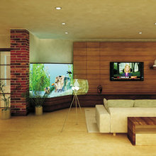 rebeccas living room