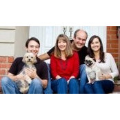 Andrew Rossol's photo