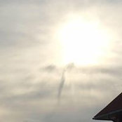 Missy Woodhams's photo