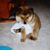 Christina Robison's photo