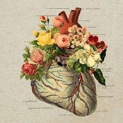 Carolina Lukac's photo