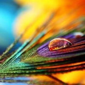 Fede Debo's photo