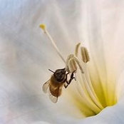 Shawn Murphy's photo