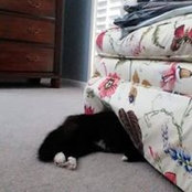 Barbara Weller's photo