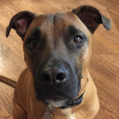 Cory Carpenter's photo