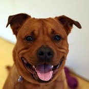 Harry Turner's photo