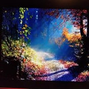 Kathi Gow's photo
