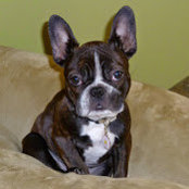 Shannon Kederis's photo