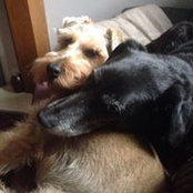 Karen Houltram's photo