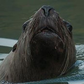 Andy Hedden's photo