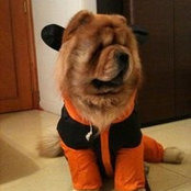 Dorothy Ho's photo