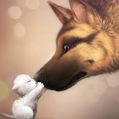 Foto von Sandrah Sandrah