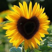 Amelia Chafin's photo