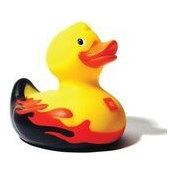TheLost Duck's photo