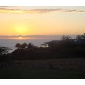 Judy Nakatomi's photo