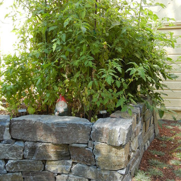 Sustainable Cottage Garden