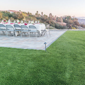 Backyard Party