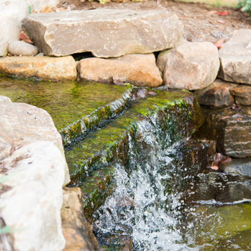 Natural Stream After