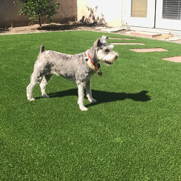 Smart Pet Turf
