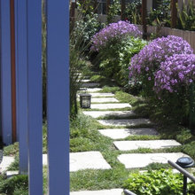 Pathways