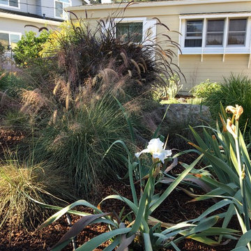Small Changes, Big impact in Cupertino