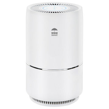 WBM Smart Air Purifier, HEPA Filter Air Purifier for Extra Large Room