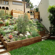 Landscaping - Stairs