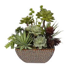 Faux Succulents