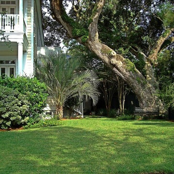 St. Augustine Palmetto