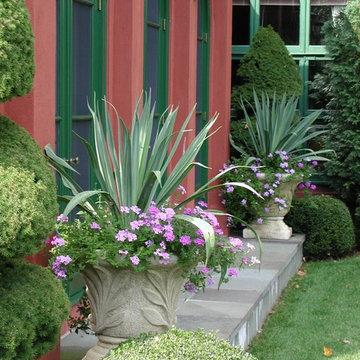 Formal planters with informal verbena for contrast