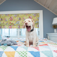 Doggie