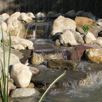 Casella Pond Renovation