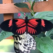 Brenda Perez's photo