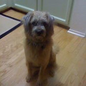 Patti Elkins's photo