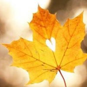 Colleen Salyer's photo