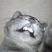 Andrei Kondratovich's photo