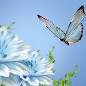 Melissa Richards's photo