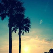 Foto von Barbara MacBride